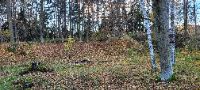 20231120_152231 (002)